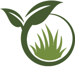 Chandler Landscaping Service