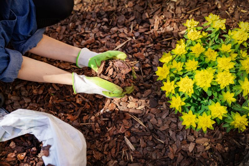 Cedar Mulch Spreading
