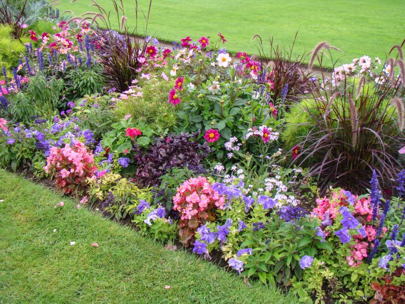Flower Beds and Borders