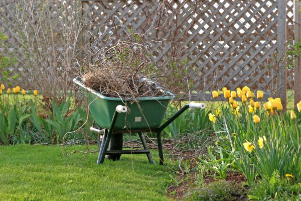 Flower Bed Cleanup Service in Chandler
