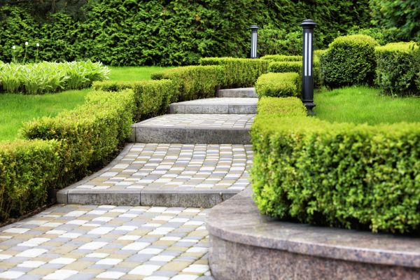 Backyard Remodeling in Chandler