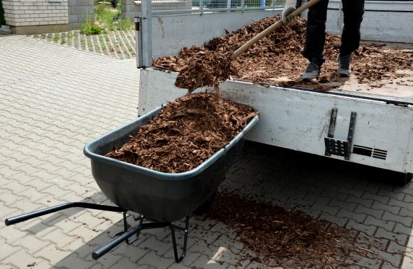Bulk Mulch Delivery in Chandler