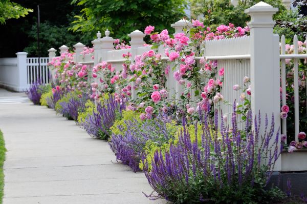 Garden Handyman Service in Chandler