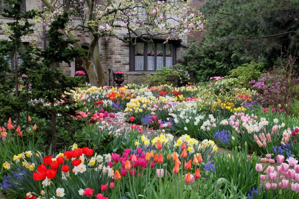 Garden Maintenance Service in Chandler