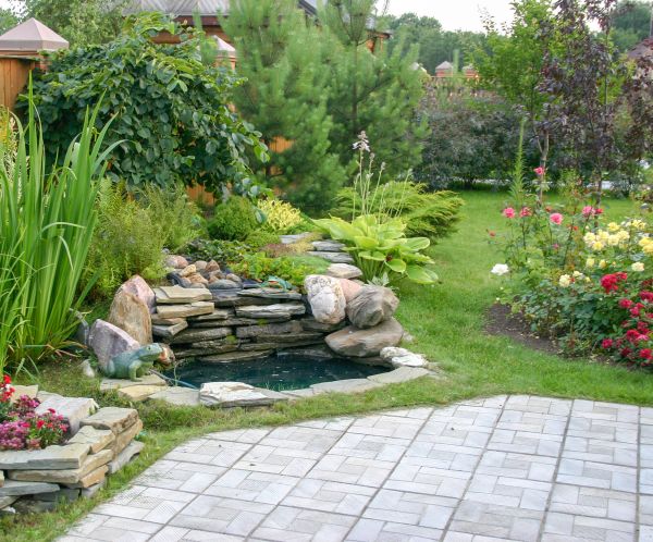 Landscaping Design Service in Chandler