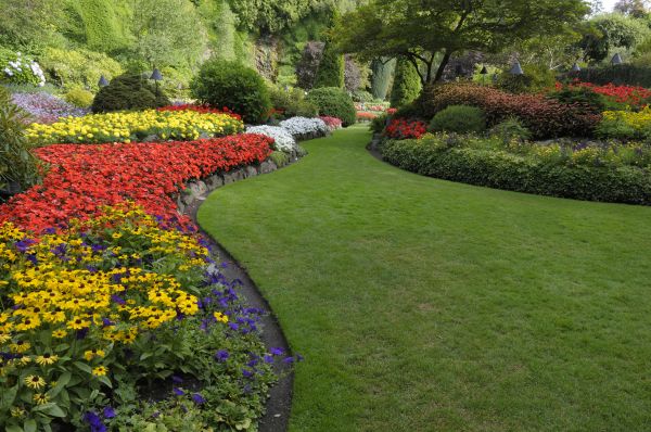 Landscaping Maintenance in Chandler