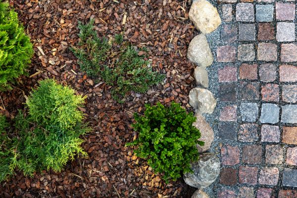 Mulch Spreading in Chandler