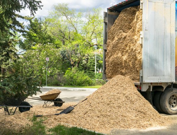 Wood Chips Delivery in Chandler