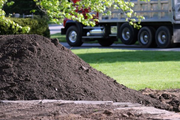 Yard Dirt Delivery in Chandler