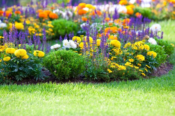 Garden Installation in Chandler
