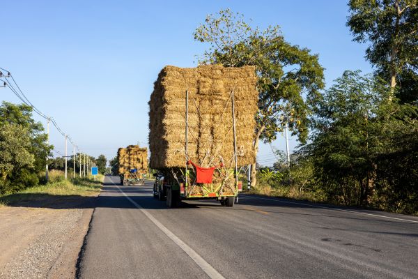 Pine Straw Delivery in Chandler