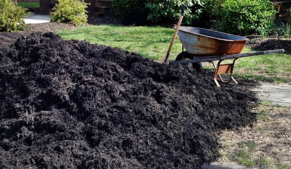 Black Mulch Delivery in Chandler
