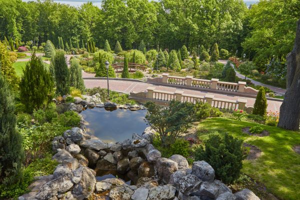 Landscape Architecture Service in Chandler