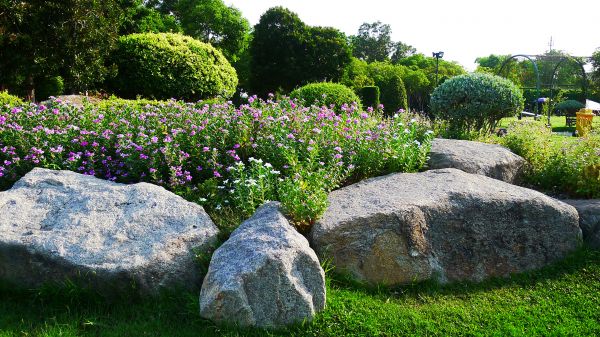Boulder Landscaping in Chandler