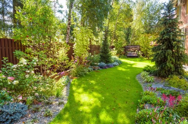 Residential Landscape Service in Chandler