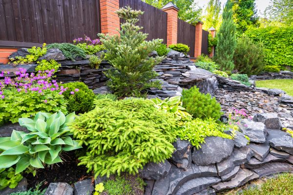 Landscape Remodeling in Chandler