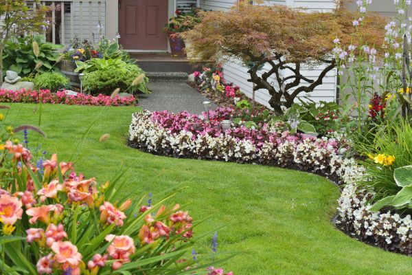 Perennial Landscaping in Chandler