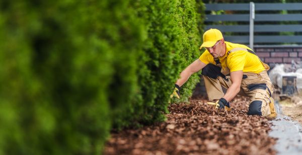 Cypress Mulch Installation in Chandler