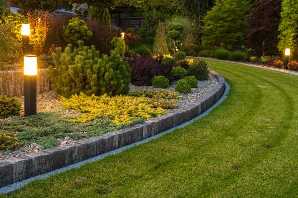 Garden Repair Service in Chandler