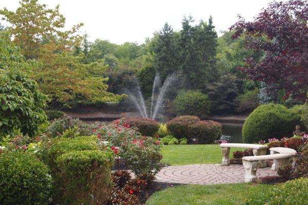 Courtyard Design Service in Chandler