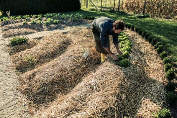 Straw Mulching Service in Chandler