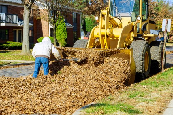 Mulch Hauling in Chandler