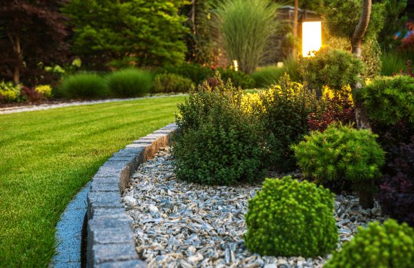 Landscaping Service in Chandler