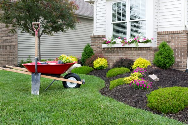 Tree And Shrub Planting in Chandler