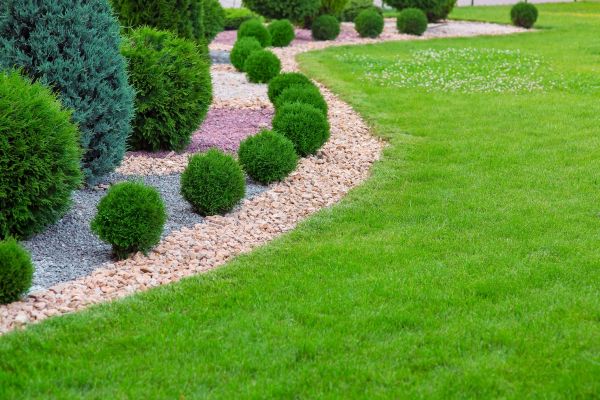 Edging Stones Installation in Chandler