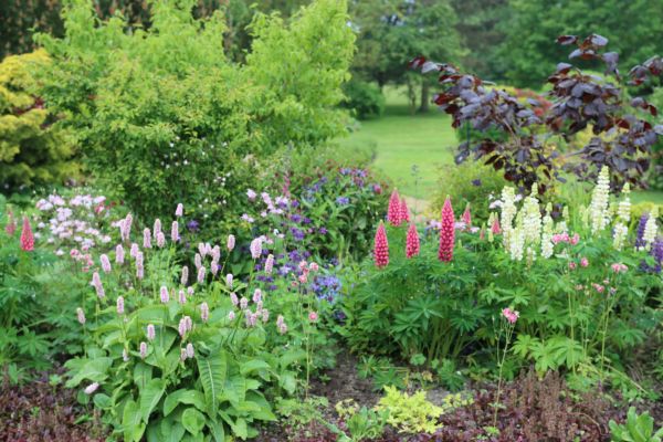 Flower Bed Planting in Chandler
