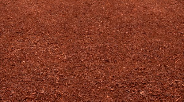Red Mulch Delivery in Chandler