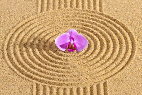 Sand Garden Landscaping in Chandler