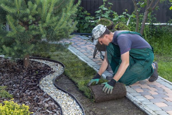 Landscaping Modification in Chandler