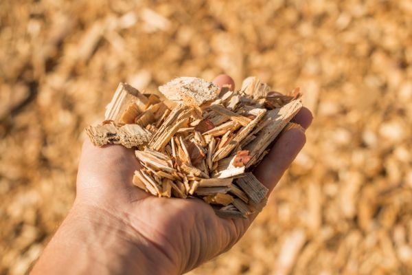 Wood Chips Spreading in Chandler