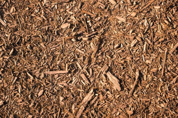 Wood Chips Removal in Chandler