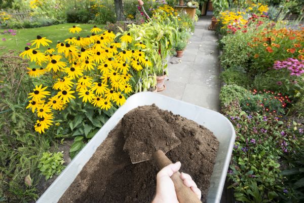 Topsoil Replacement in Chandler