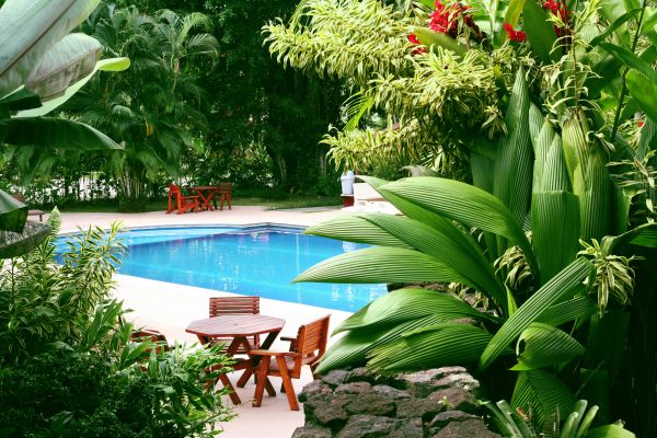 Pool Area Landscaping in Chandler