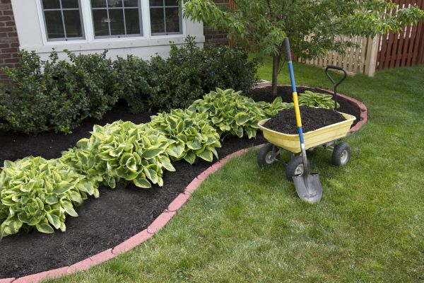 Landscape Mulching in Chandler