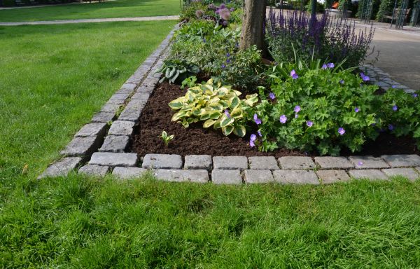 Flower Bed Mulching in Chandler