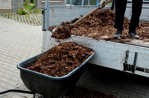 Playground Mulch Delivery in Chandler