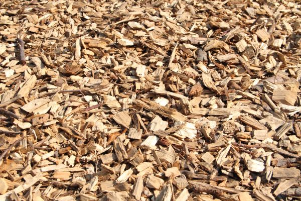 Wood Mulch Delivery in Chandler