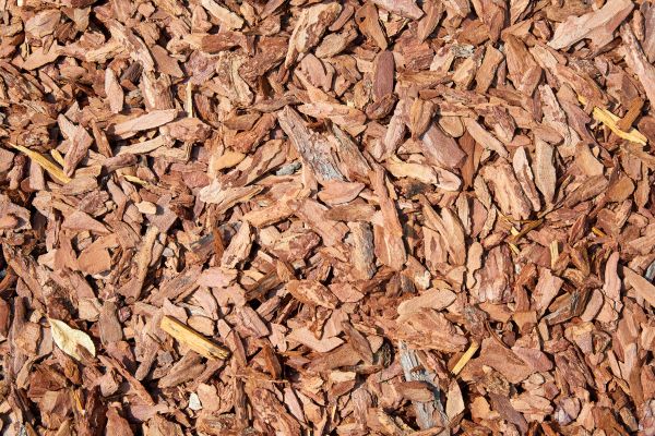 Pine Mulch Spreading in Chandler