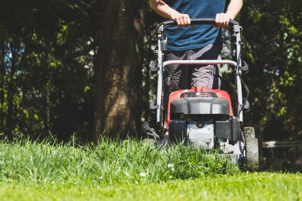 Garden Trimming Service in Chandler
