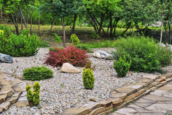 Hardscape Landscaping in Chandler