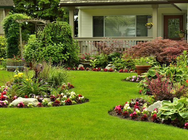 Flower Garden Planting in Chandler