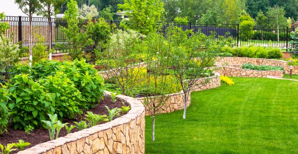 Yard Makeover Service in Chandler