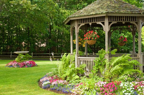 Backyard Landscaping Service in Chandler