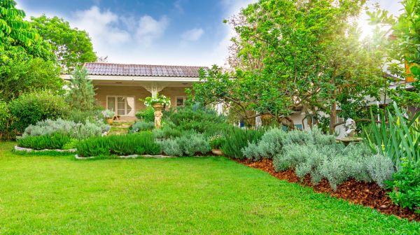 Greenery Planting in Chandler