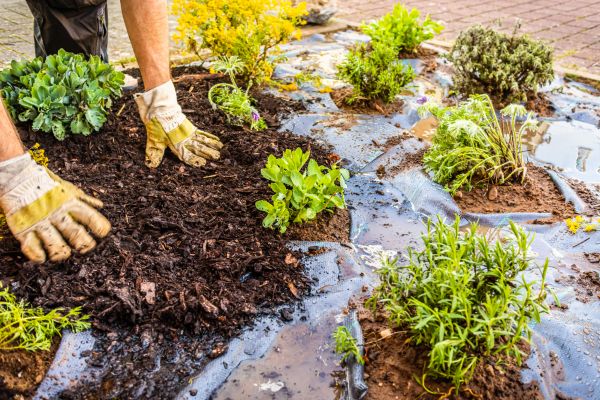 Mulch Fabric Installation in Chandler