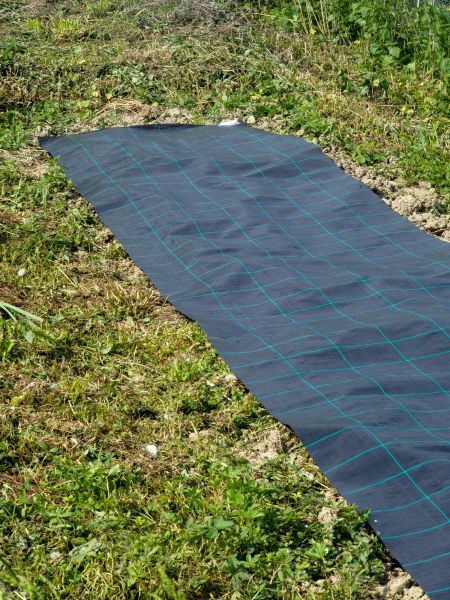 Weed Suppressant Installation in Chandler